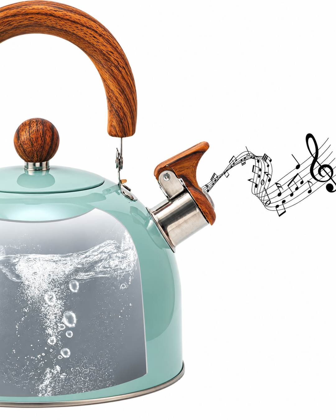Klassieke Fluitketel 3 Liter met Modern Design