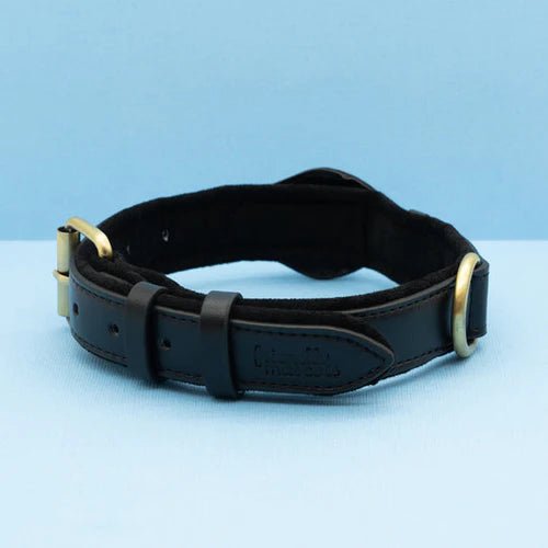 Halsband Hond Met AirTag Bevestiging Voor Buitenactiviteit En Comfort 6