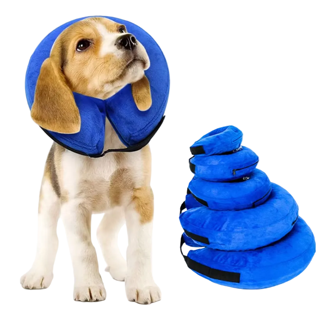 Halsband Hond Opblaasbaar Donutvormig Voor Herstel 0