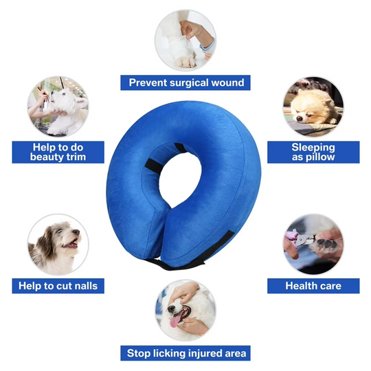 Halsband Hond Opblaasbaar Donutvormig Voor Herstel 7