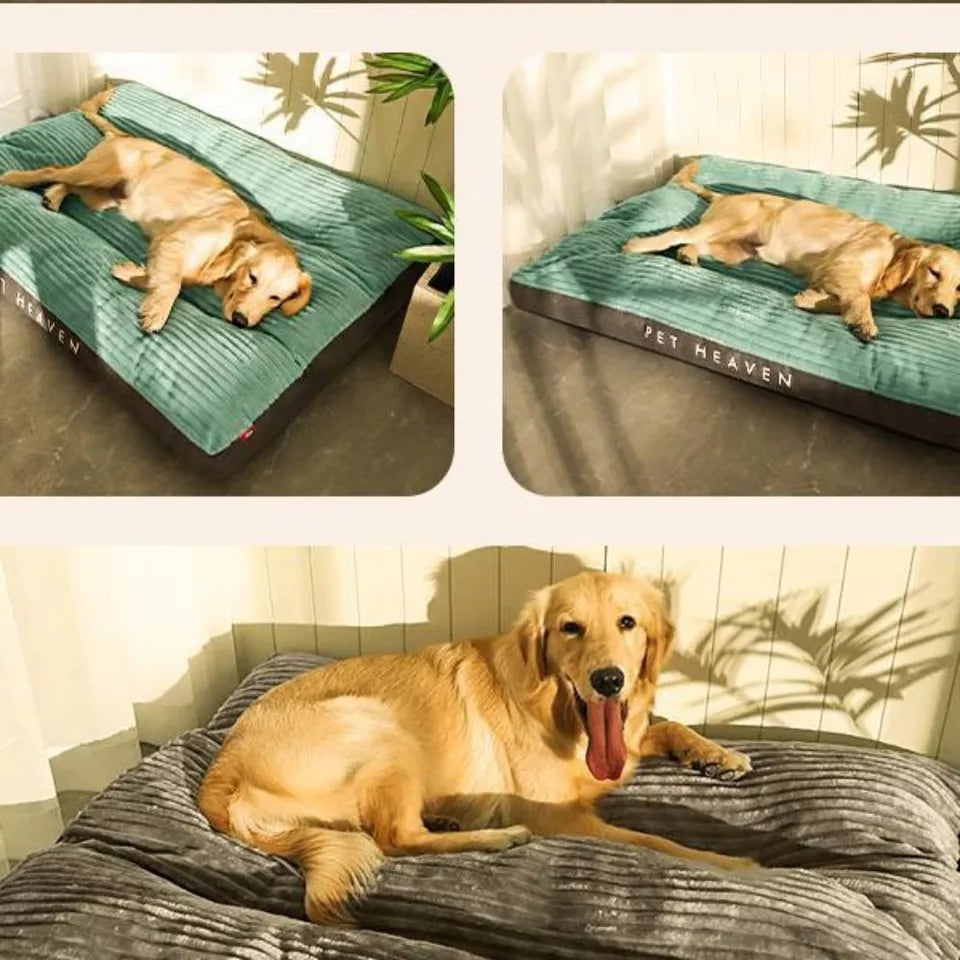 Hondenkussen met Afneembare Hoes voor Comfort en Ondersteuning 2