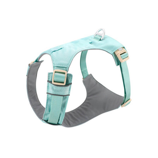 Hondentuig met Multifunctionele Riem voor Comfortabele Wandelingen 11
