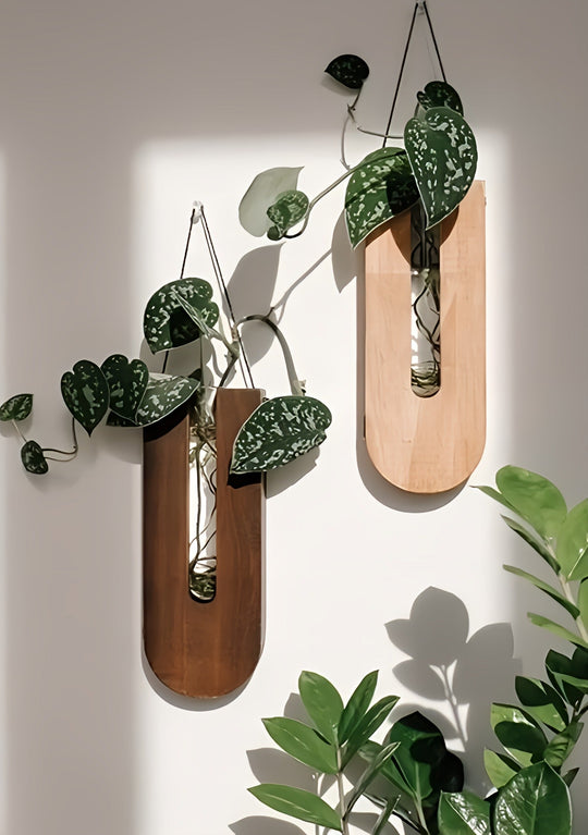 Set Wandplantenhouders Rustiek Hout 2