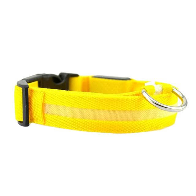 LED Halsband