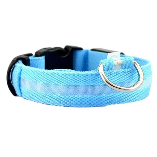 LED Halsband