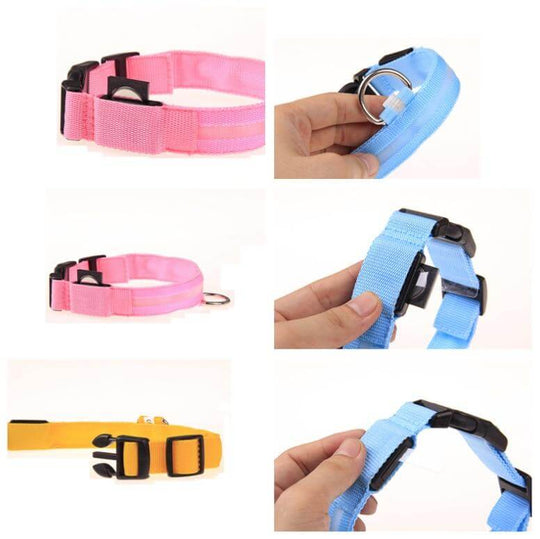 LED Halsband